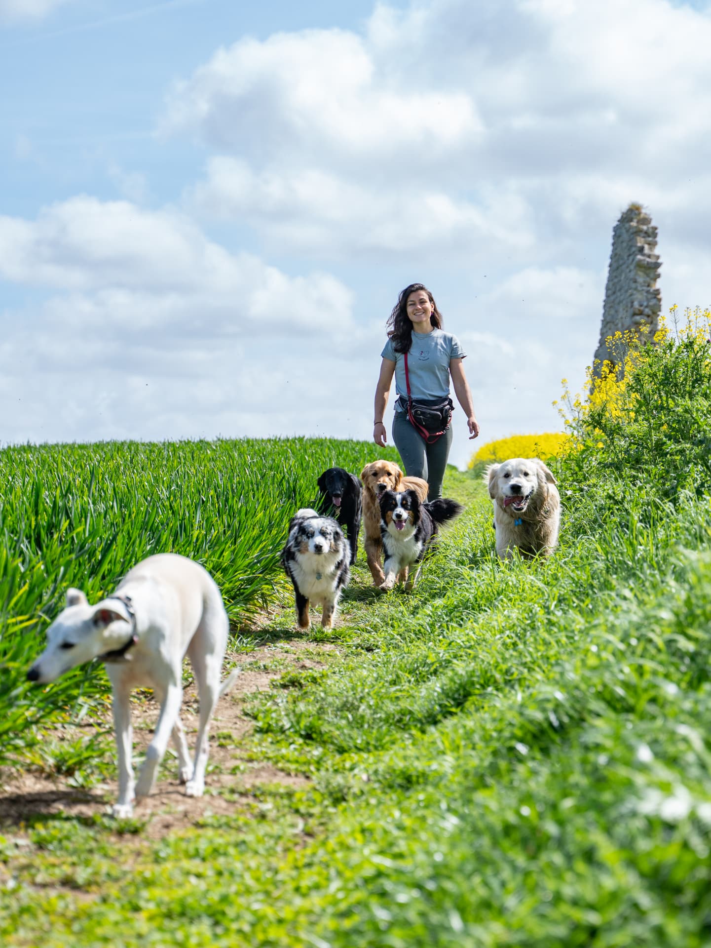 Léna et les chiens sur un chemin de campagne